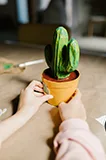 精选内容 - 金年会
